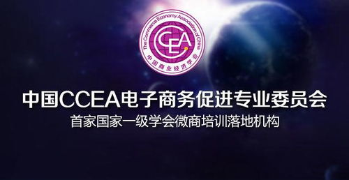 财政学类电子商务专业