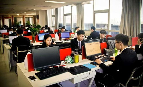 大专电子商务专业找工作
